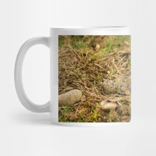 sbs lapwing nest Mug